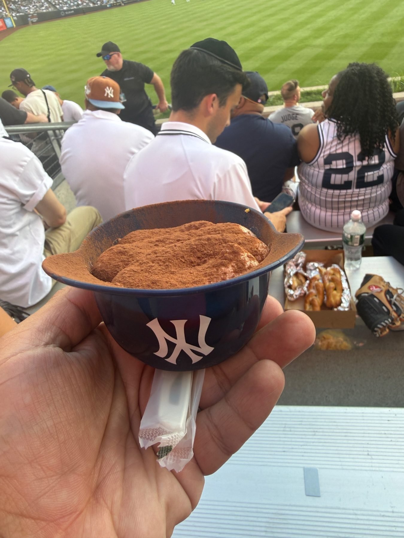 Yankee Stadium trip photo