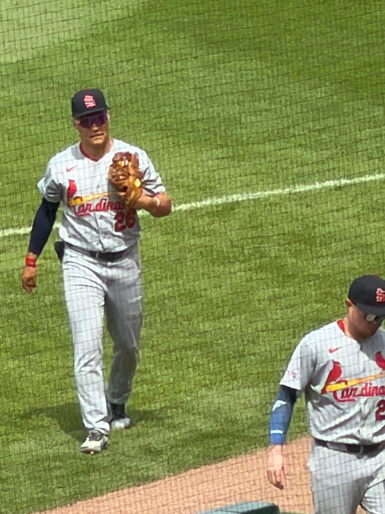 Wrigley Field trip photo